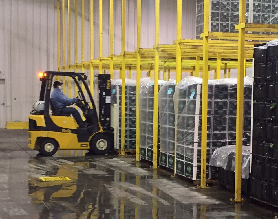 Man Riding Forklift in Warehouse with Workers Compensation in Valdosta, Tifton, Albany, and Moultrie, GA